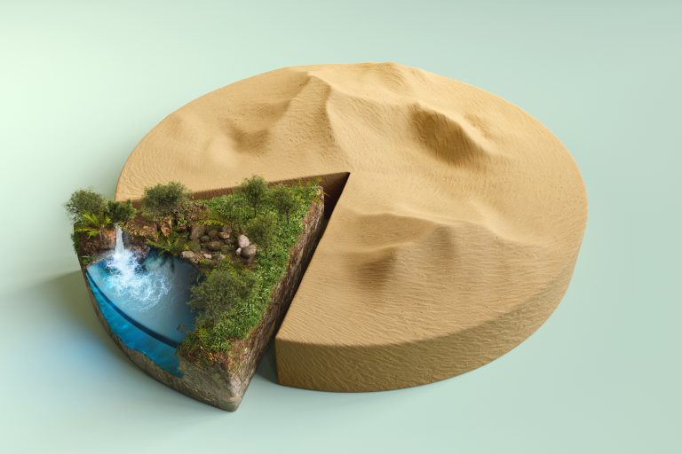 Why is sand important to the environment